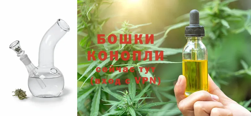 хочу наркоту  Зарайск  нарко площадка как зайти  Конопля SATIVA & INDICA 